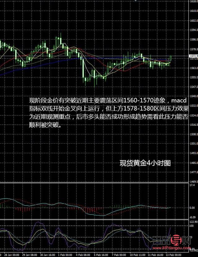 期货金价格最新行情，市场走势分析与预测