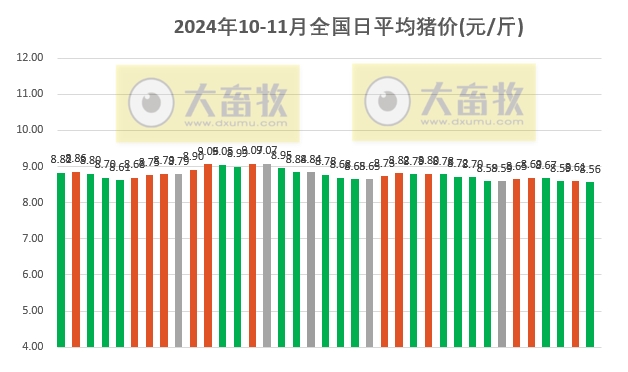 今日生猪价最新猪价格动态分析