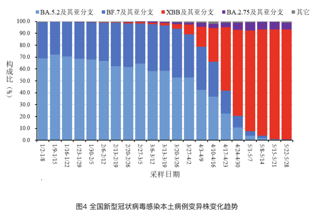 新冠病毒疫情最新数据报告及分析