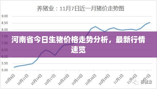 政令 第485页