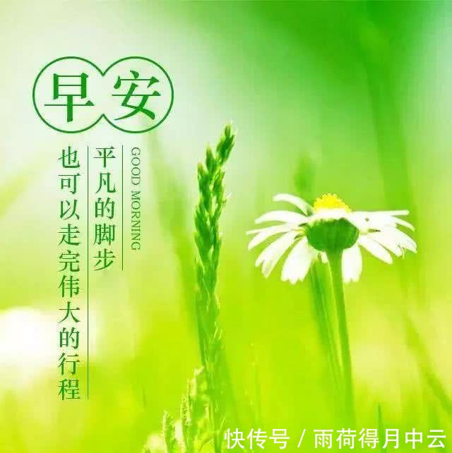 最新的早上好祝福，开启美好一天的温馨寄语