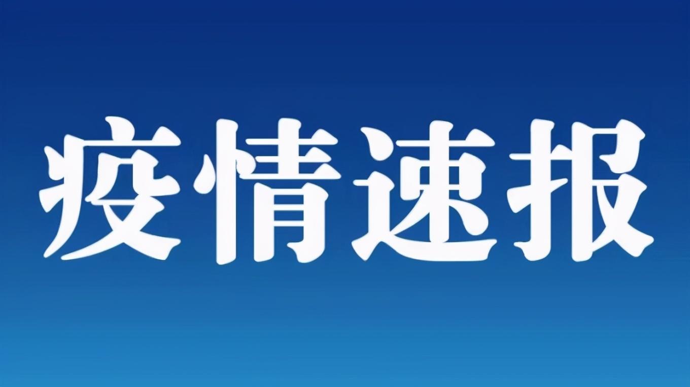 新疆新增确诊病例最新动态分析