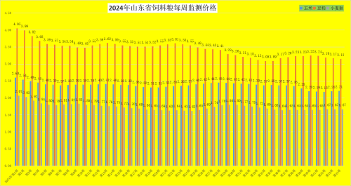 山东明日猪价最新分析与预测