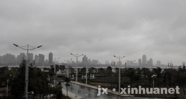 上海暴雨最新消息，城市如何应对突如其来的暴雨天气