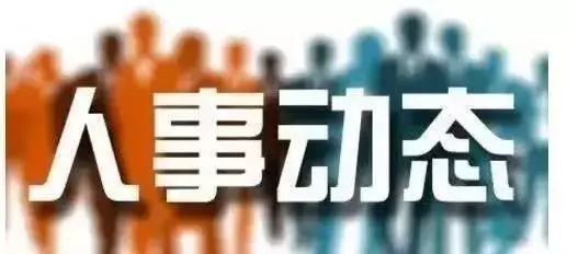 薛泽洲最新任免动态及其影响