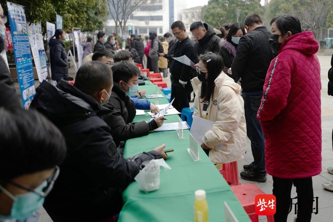 晨阳最新消息，引领新时代的变革与发展