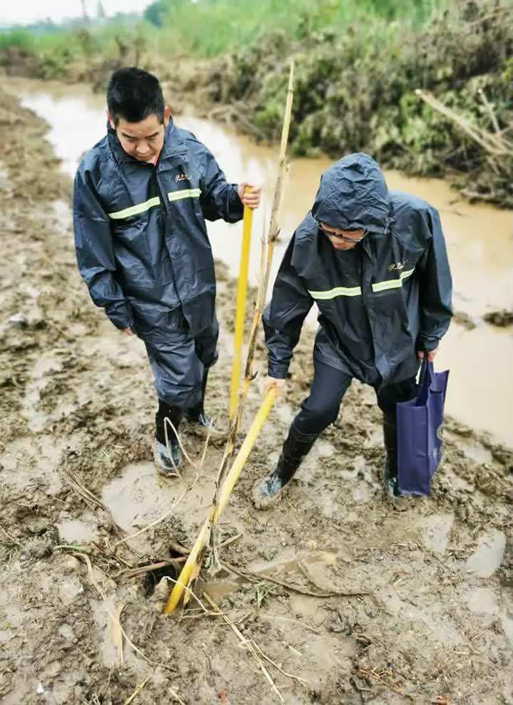 江都洪水最新消息，全面应对，守护家园