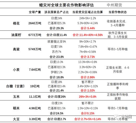 全球粮食危机最新发布消息深度分析