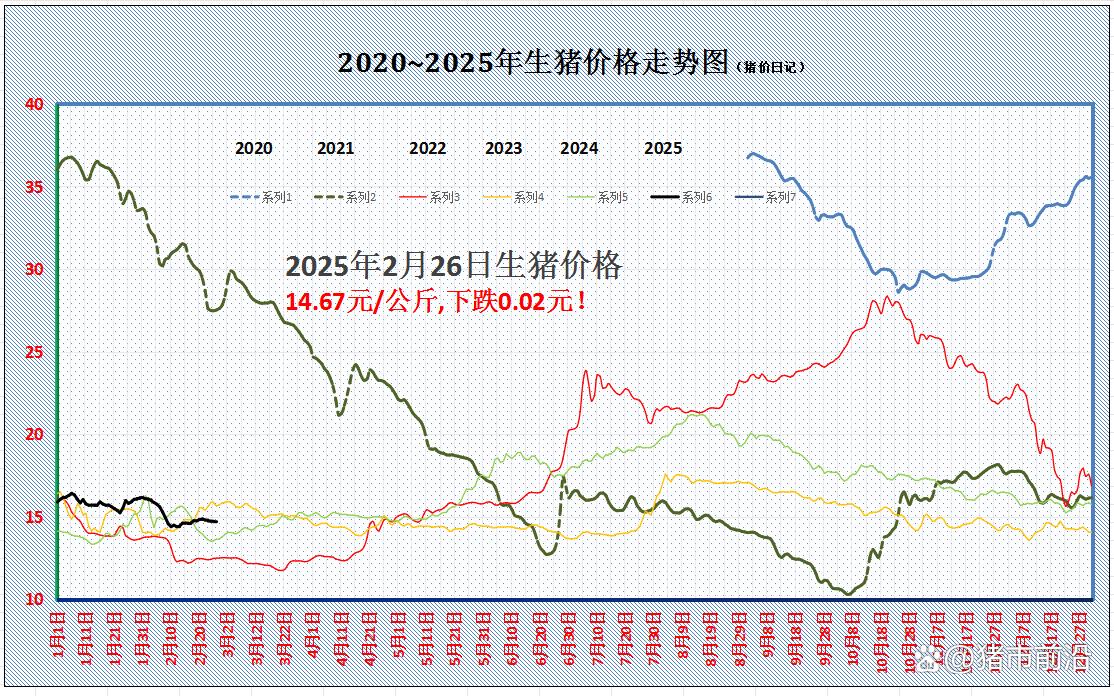 最新全国猪价格行情分析