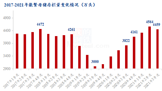 最新猪价行情分析，深入解读12月市场趋势